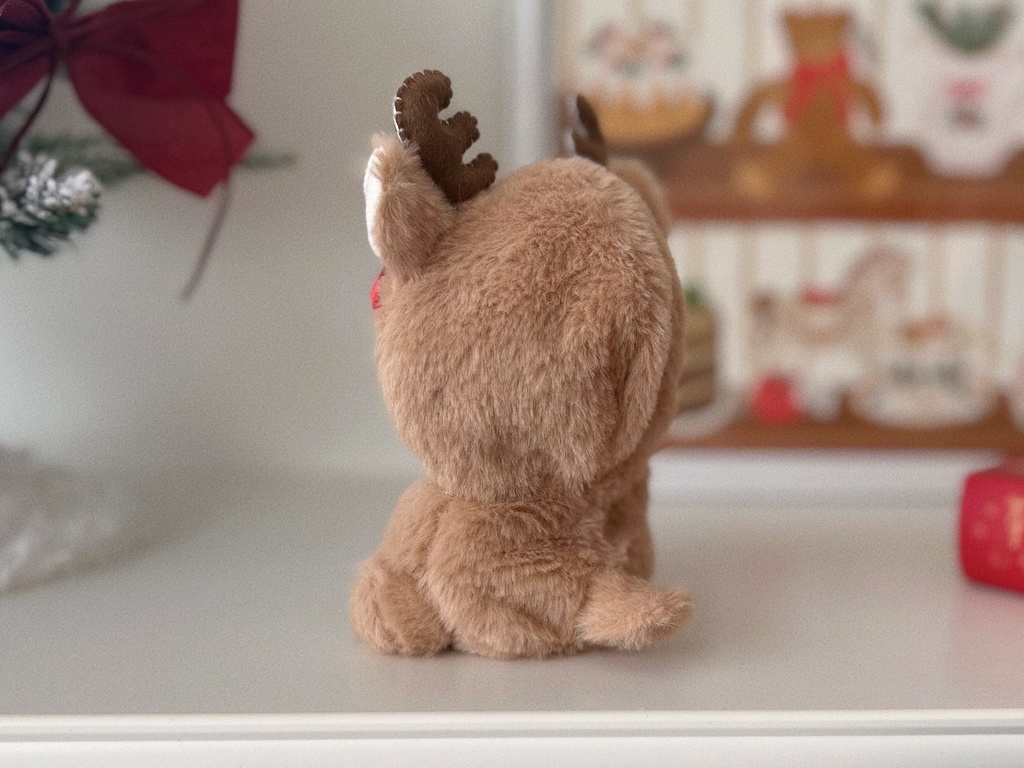 🎄 Christmas 2025 🎄