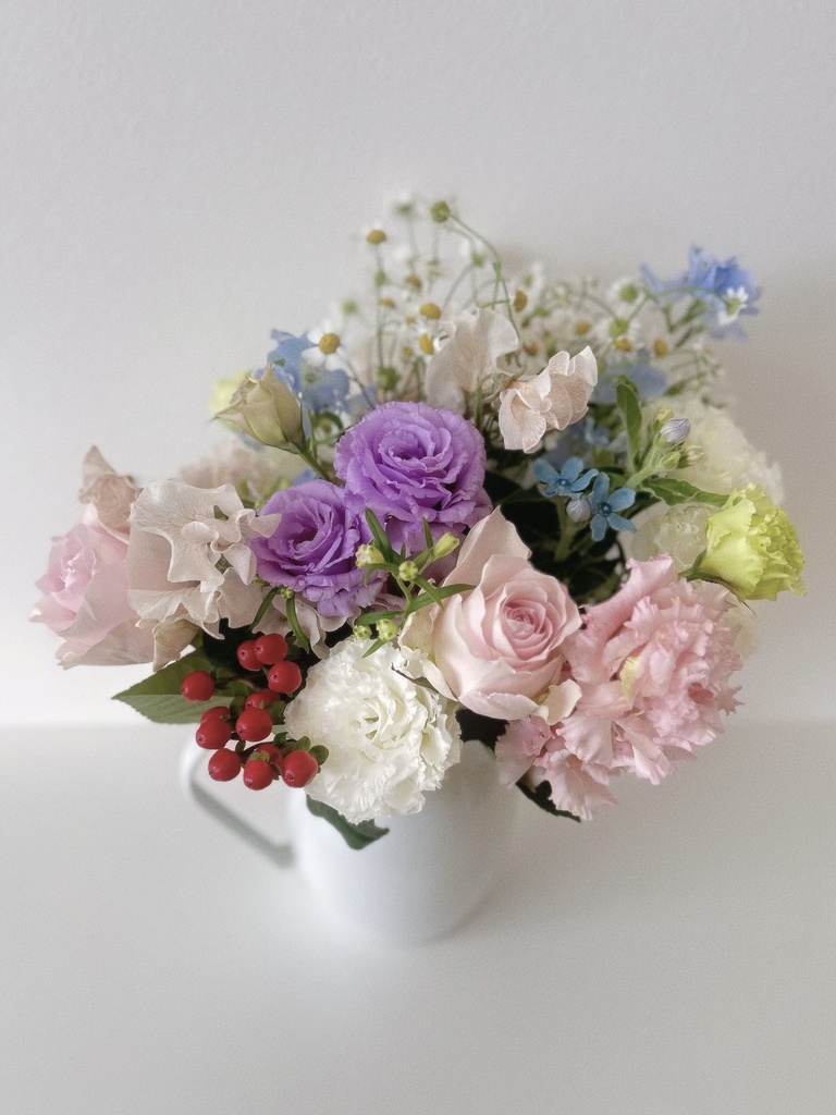 Dreaming Marshmallow Kitten