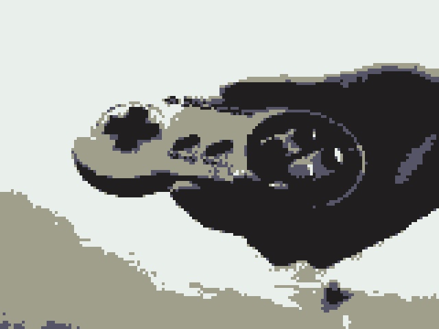 F8 Effect | エフエイト・エフェクト