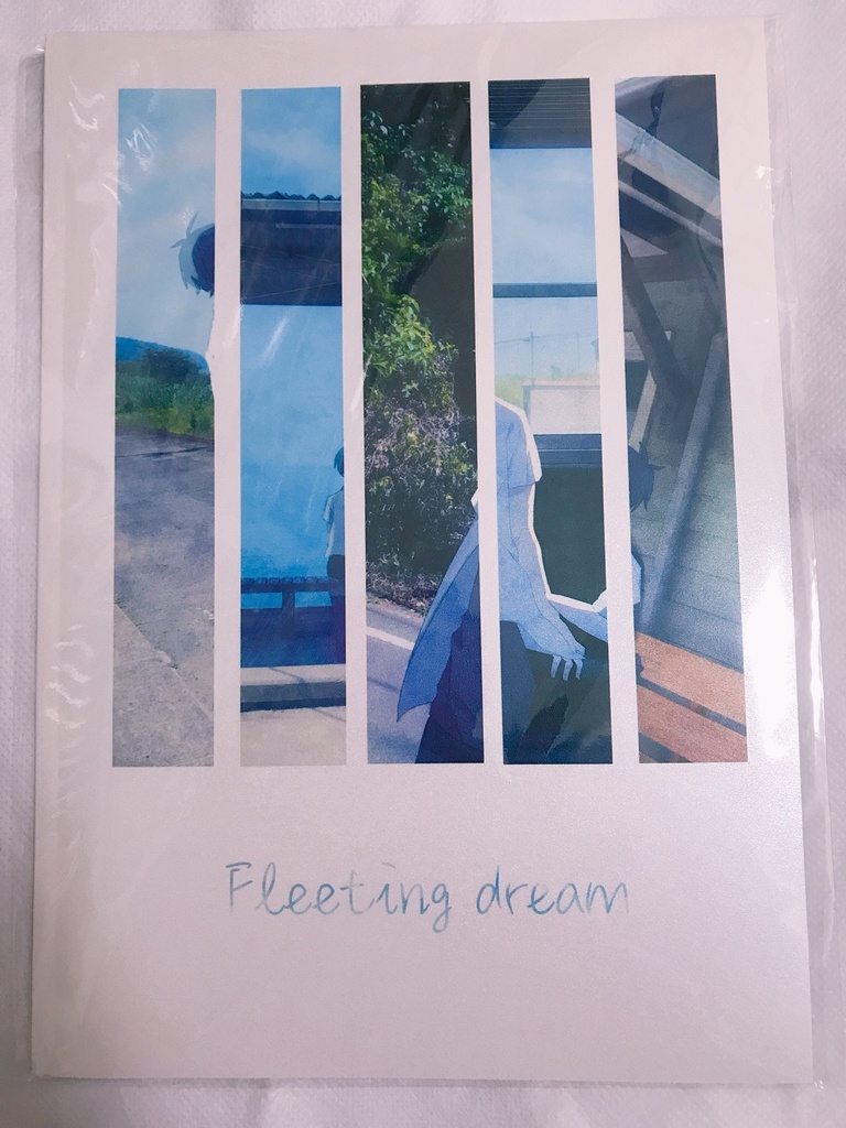 【イラスト写真集】Fleeting dream