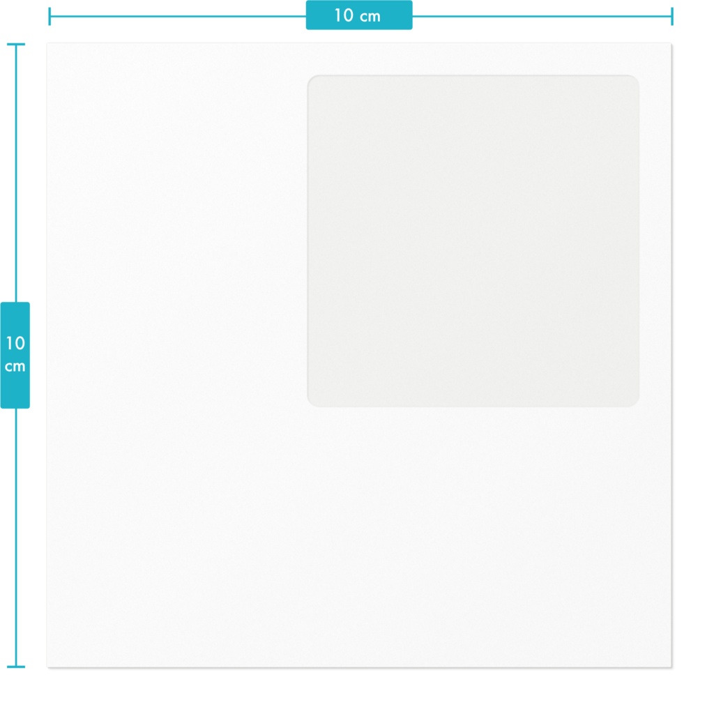 サーフィンコアラ