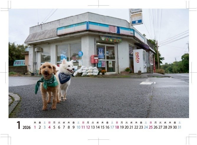 卓上カレンダー2026/種子島アニマルレスキュー