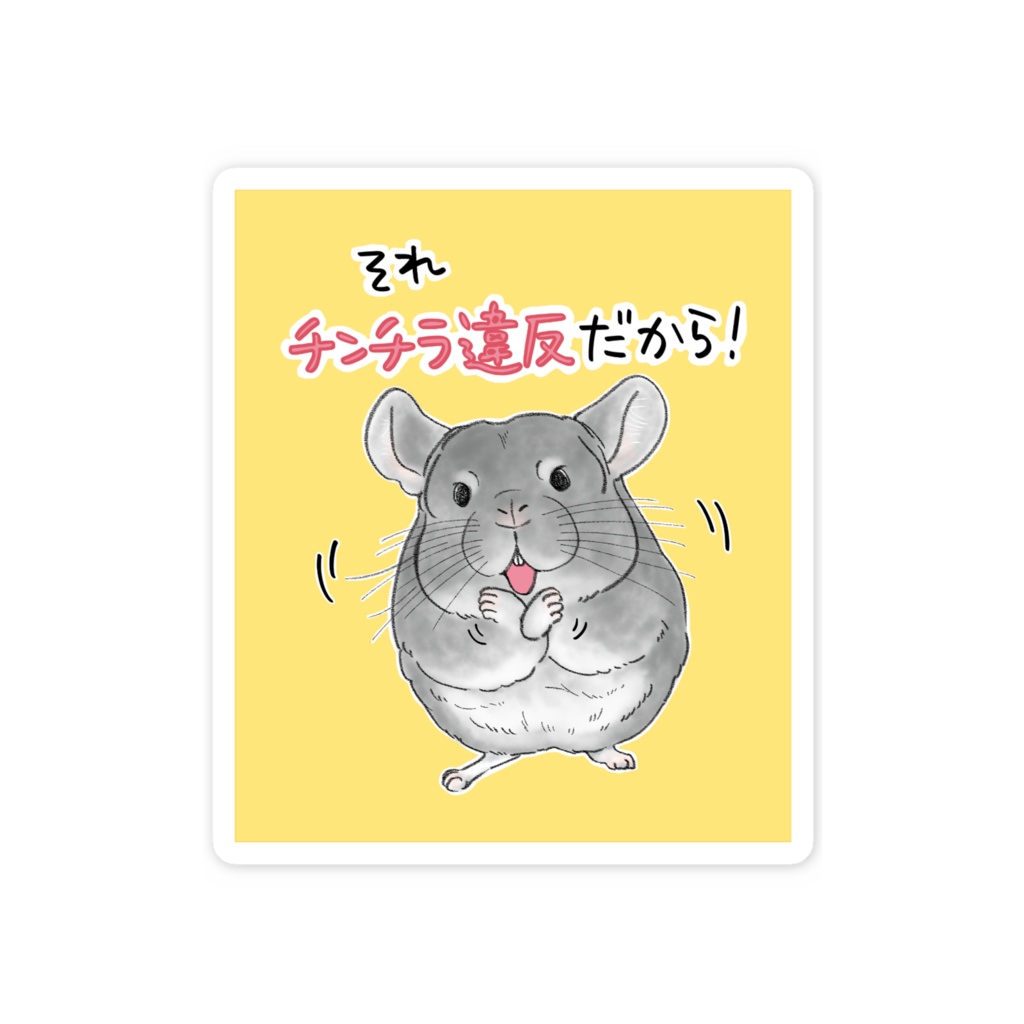 チンチラ違反！