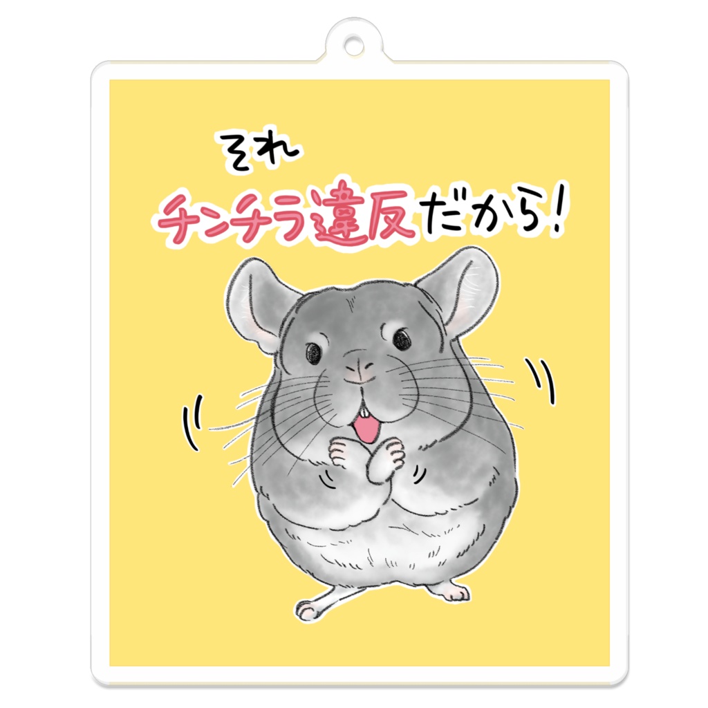 チンチラ違反！