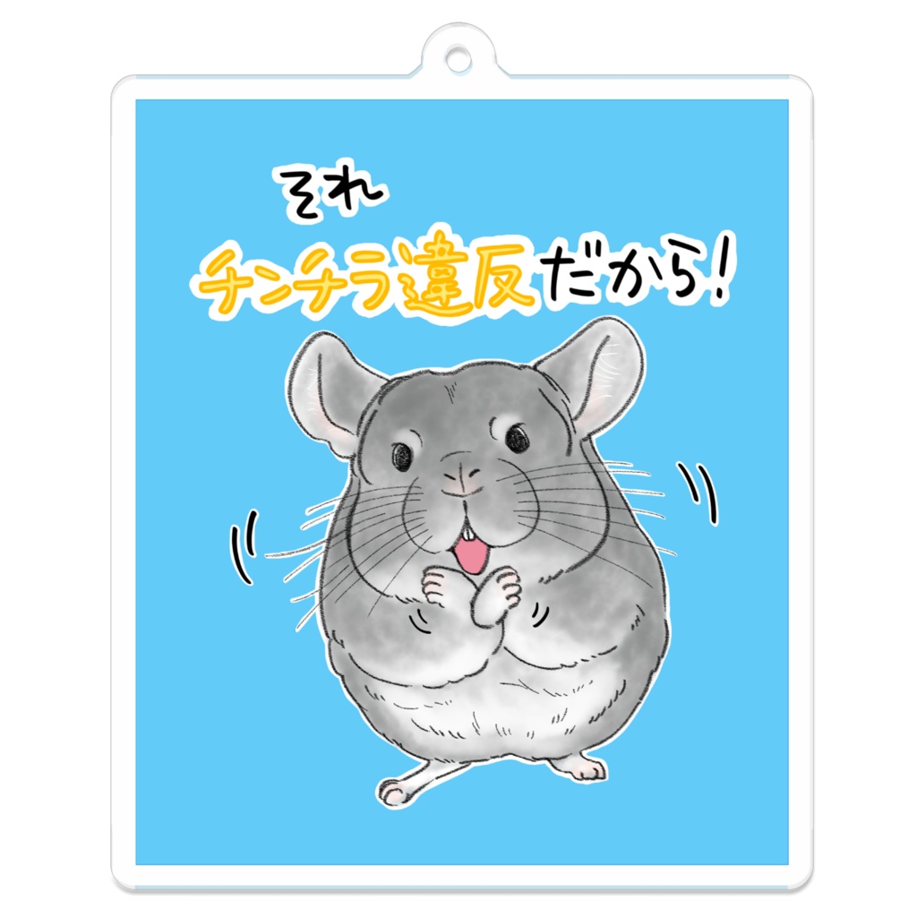 チンチラ違反！