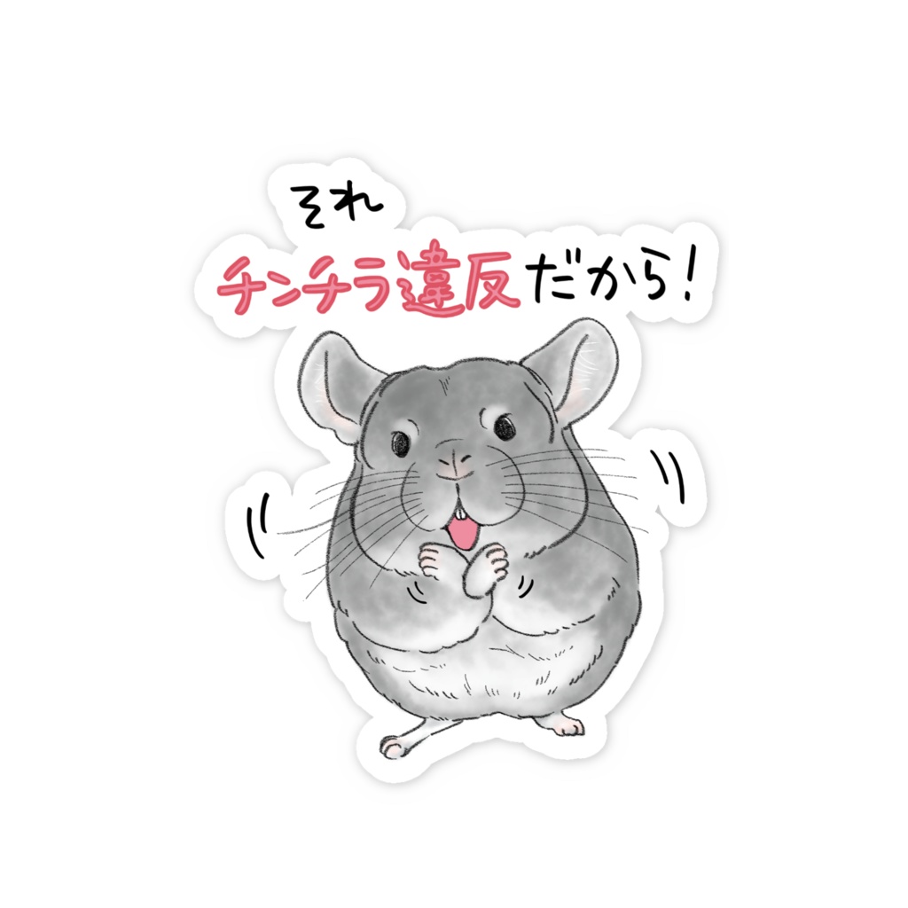 チンチラ違反！