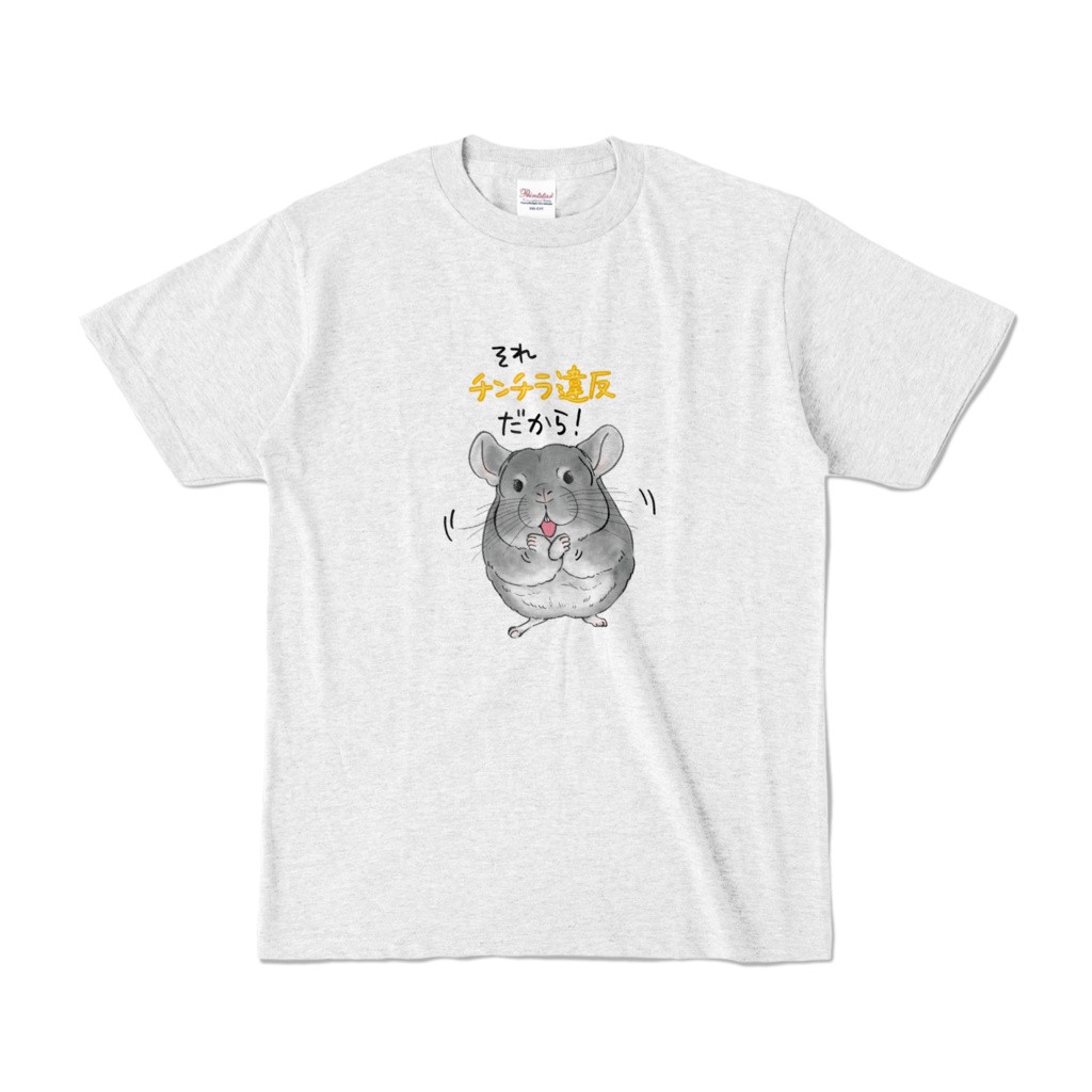 チンチラ違反！