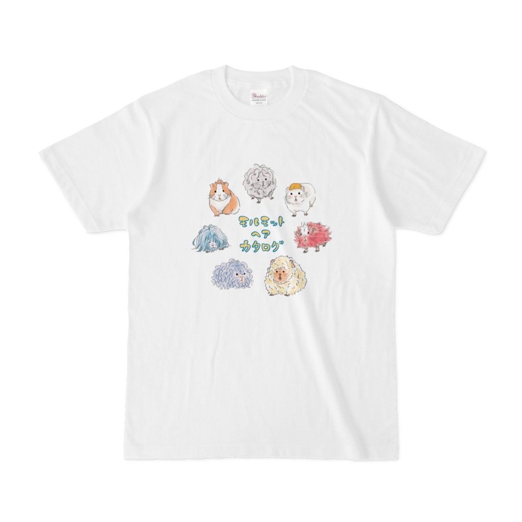 モルモットヘアカタログ