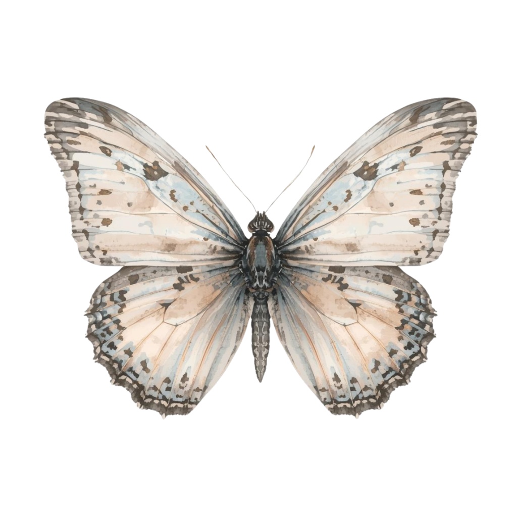 水彩ヴィンテージ動物クリップアート10点セット|アンティーク風・背景透過PNG|Canva対応