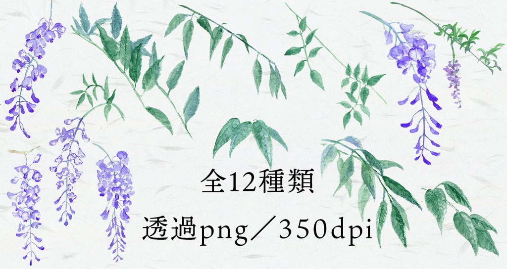 水彩素材03 春の藤セット