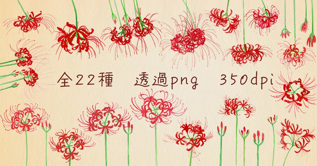 水彩素材06 秋の彼岸花セット