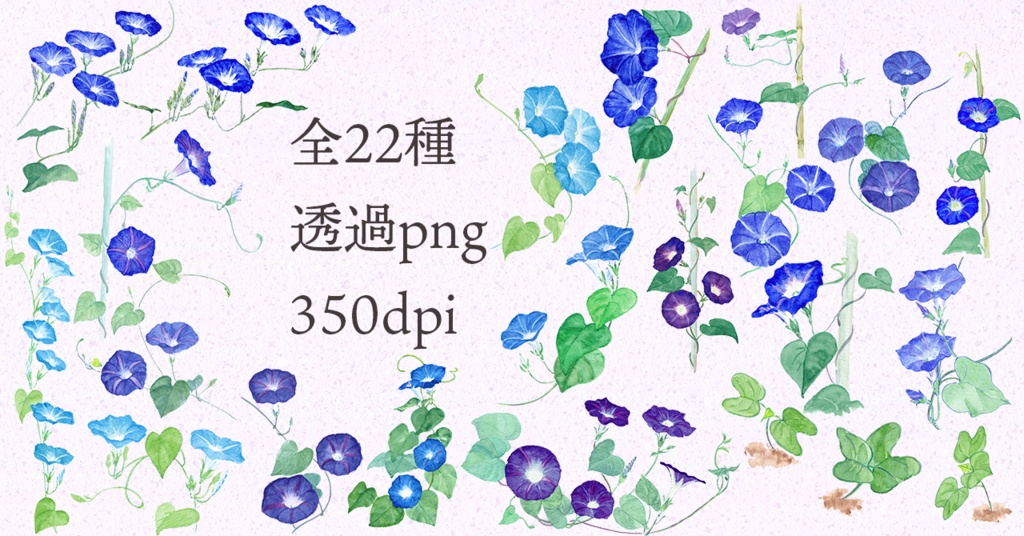 水彩素材09 西洋朝顔セット