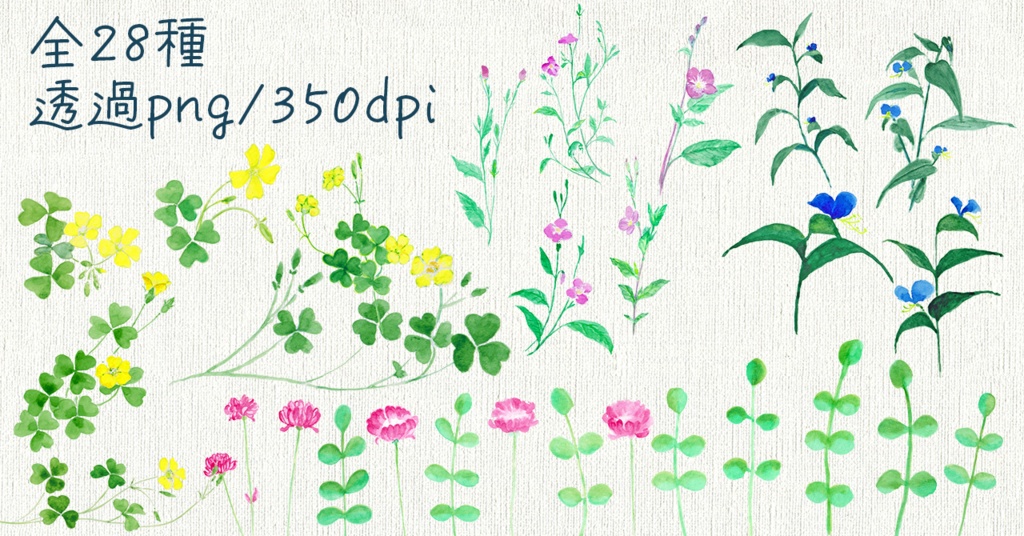 水彩素材13 野の花セット