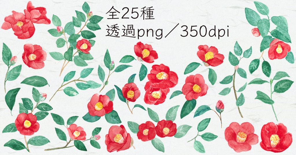 水彩素材16 椿の花セット