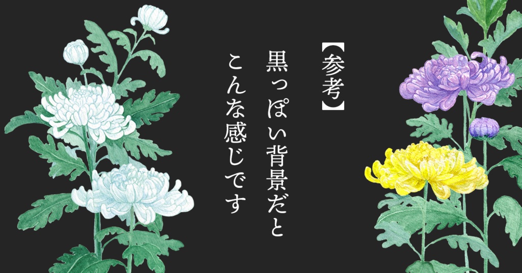 水彩素材17 菊の花セット