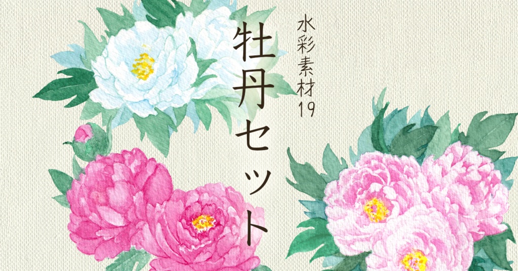 水彩素材19 牡丹セット