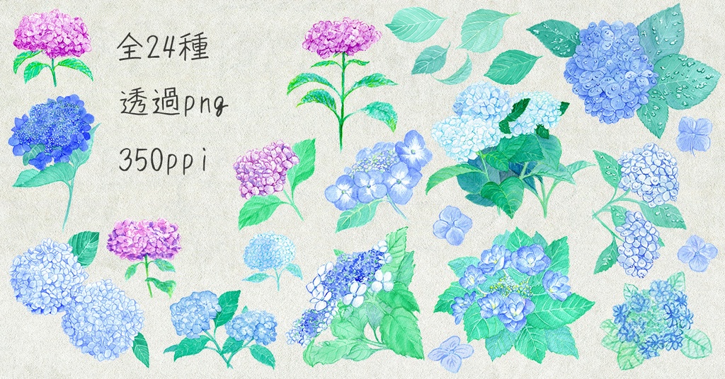 水彩素材26 あじさいセット