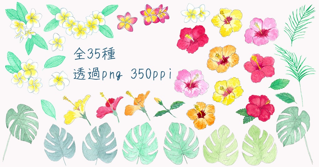 水彩素材28 トロピカルなお花セット