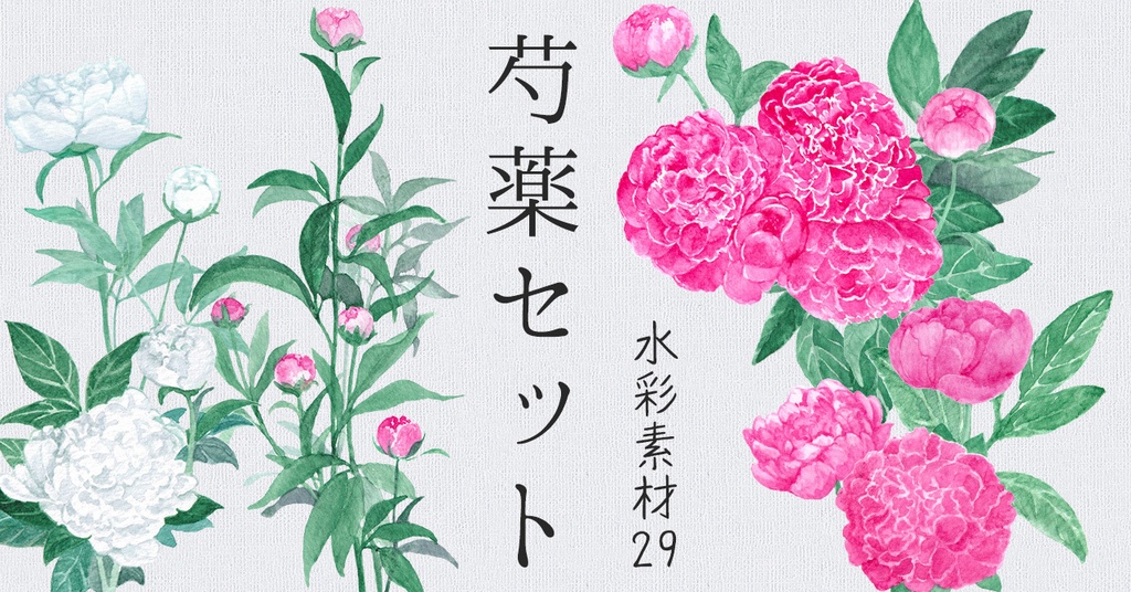 水彩素材29 芍薬セット