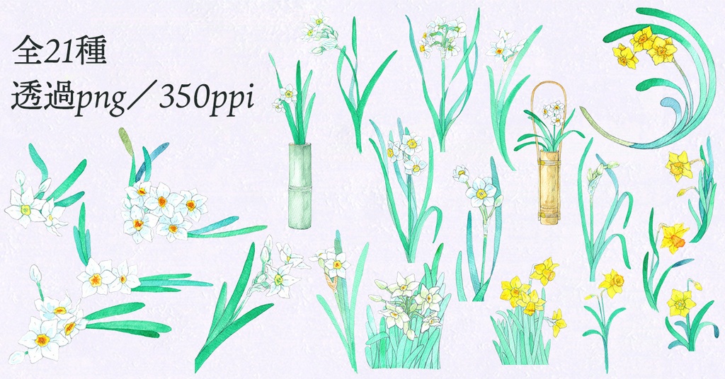 水彩素材39 水仙セット