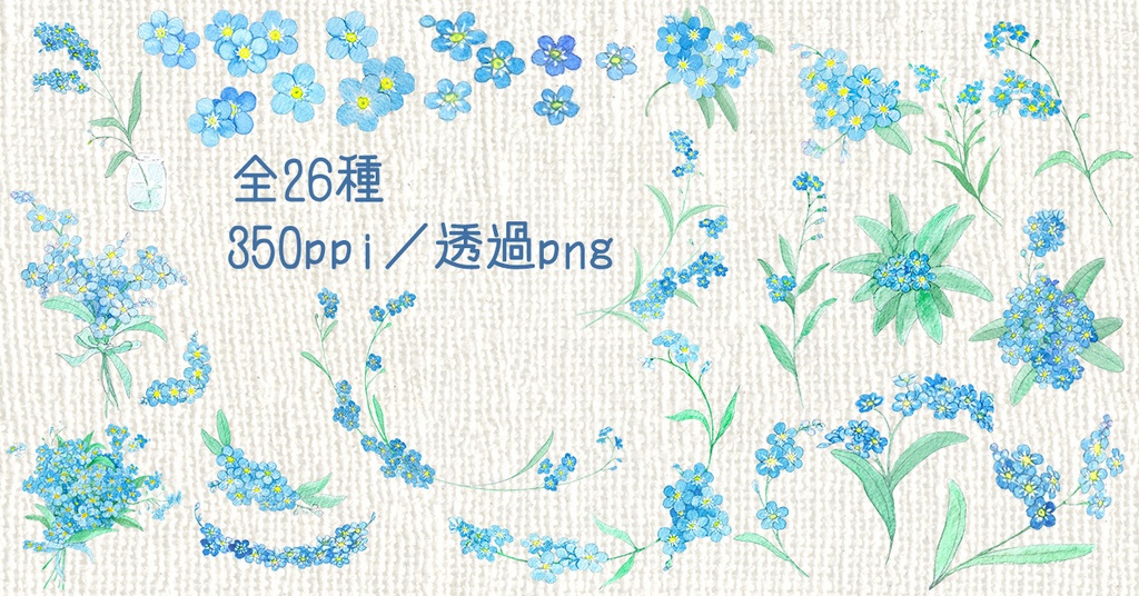 水彩素材40 勿忘草セット