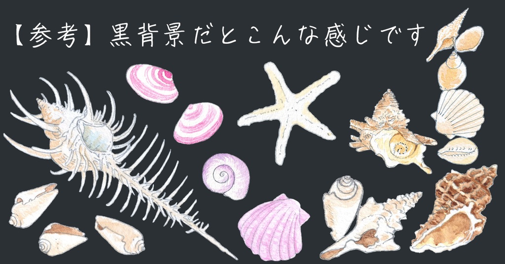 水彩素材44 貝殻セットと追加ヤドカリ