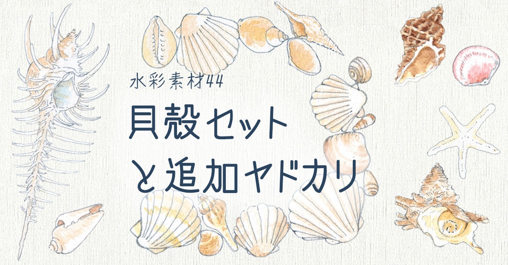 水彩素材44 貝殻セットと追加ヤドカリ