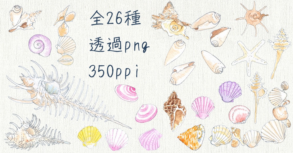 水彩素材44 貝殻セットと追加ヤドカリ