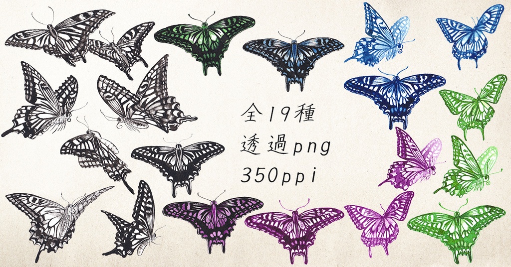 水彩素材46 アゲハ蝶セット