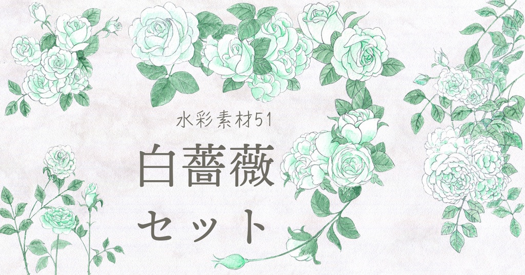 水彩素材51 白薔薇セット
