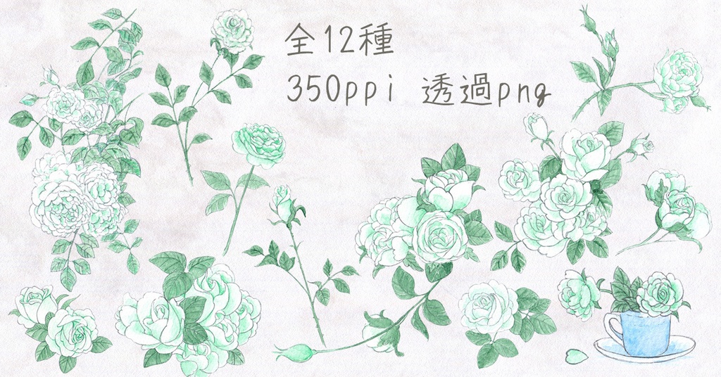 水彩素材51 白薔薇セット