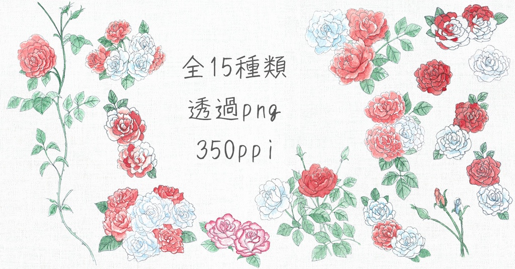 水彩素材54 紅白の薔薇セット