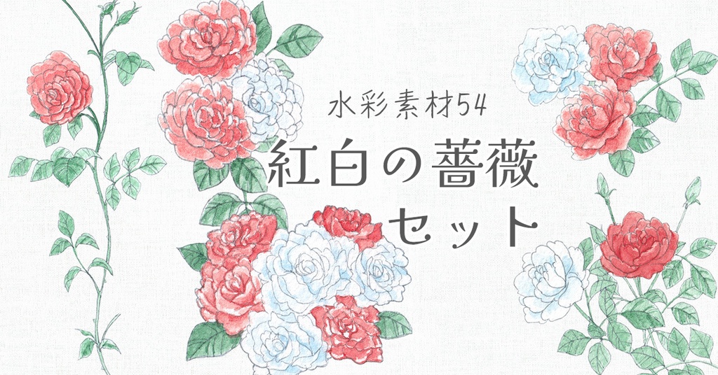 水彩素材54 紅白の薔薇セット