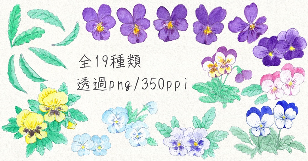 水彩素材55 ビオラの花セット