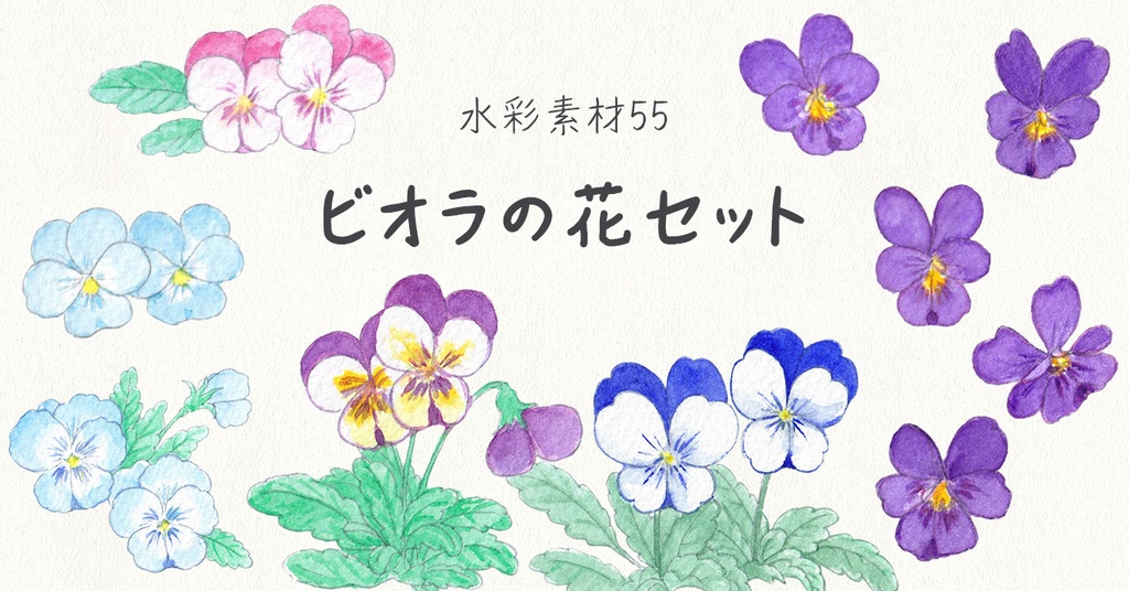水彩素材55 ビオラの花セット