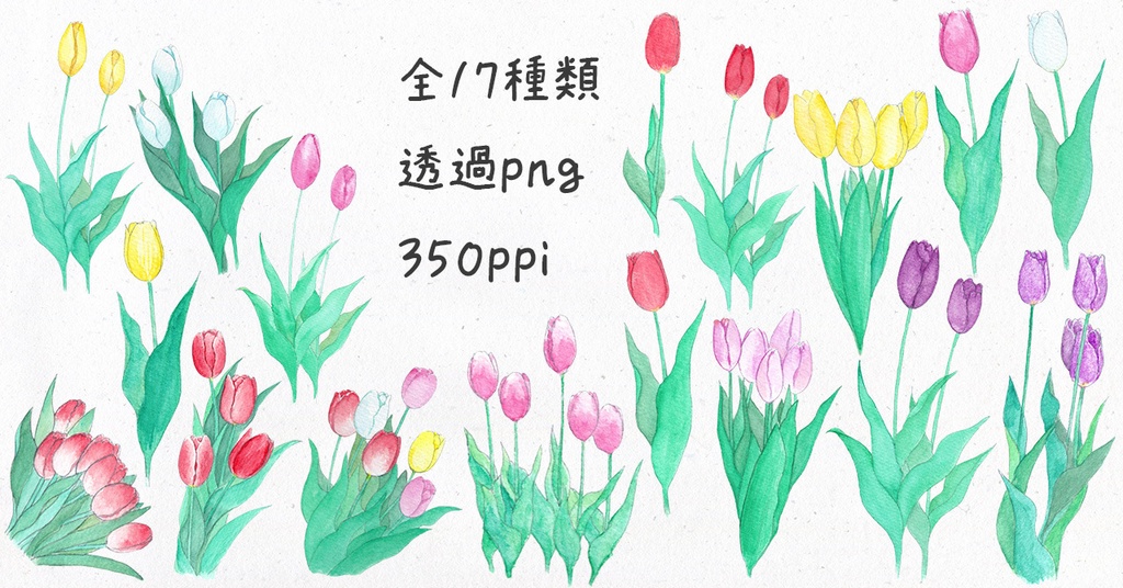 水彩素材56 チューリップセット
