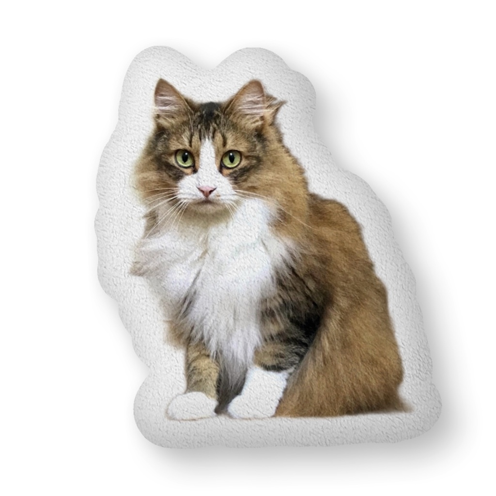 ねこねこクッション - ムギ全身ver.