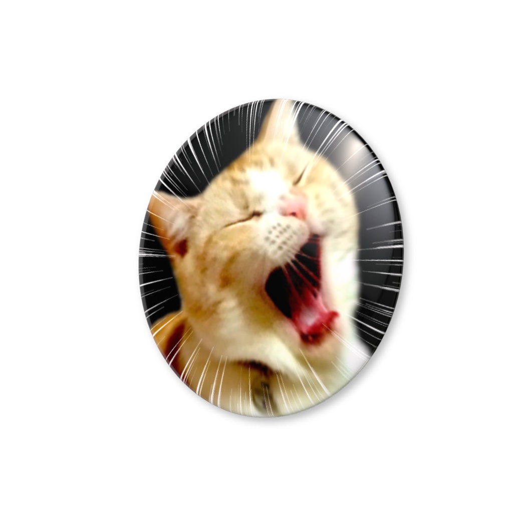 【全力シャウト猫】躍動感すごすぎる!猫の叫び 缶バッジ メルver.