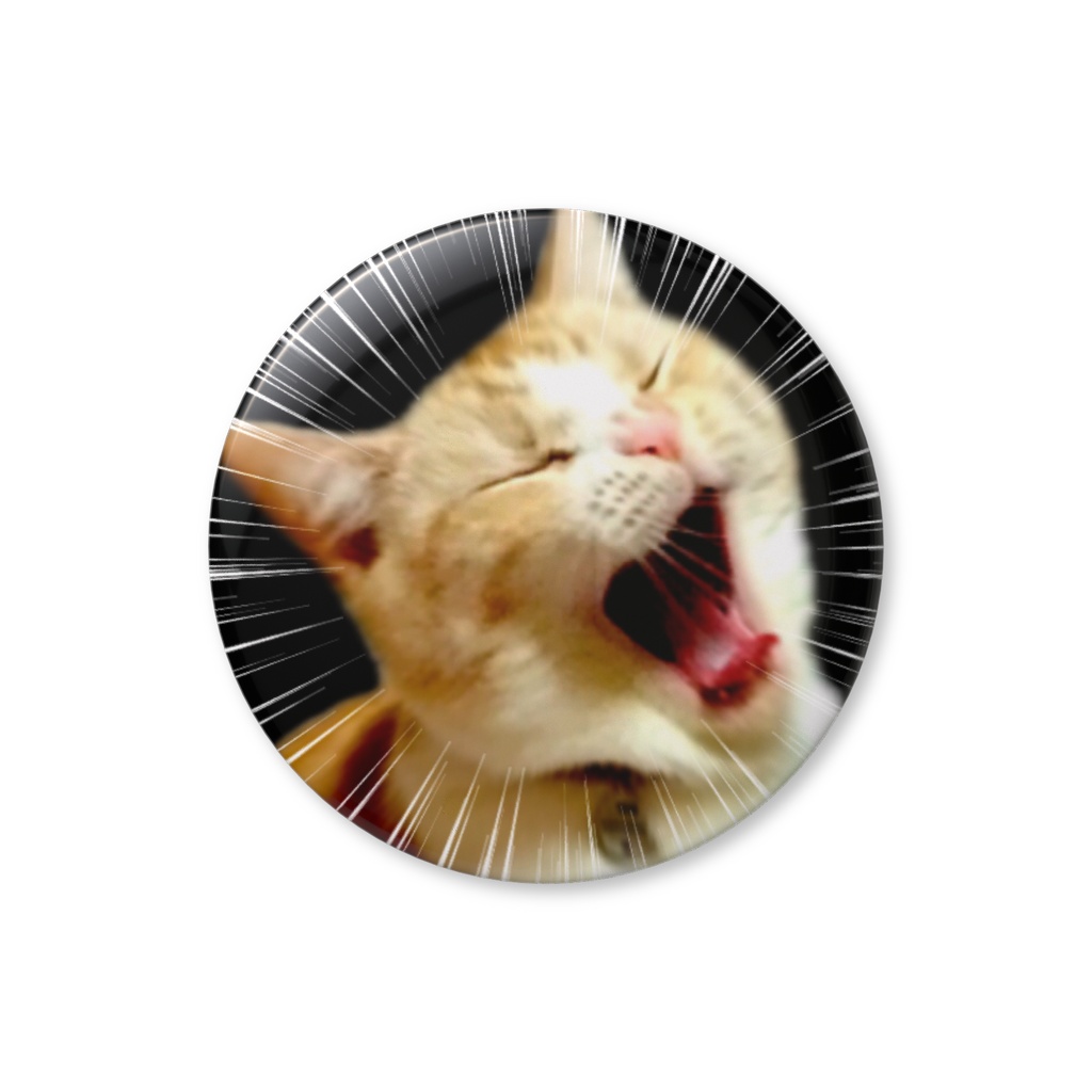 【全力シャウト猫】躍動感すごすぎる！猫の叫び 缶バッジ メルver.