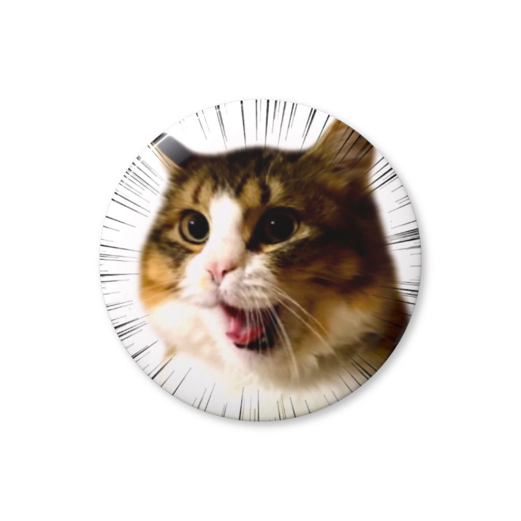 【全力シャウト猫】躍動感すごすぎる！猫の叫び 缶バッジ ムギver.