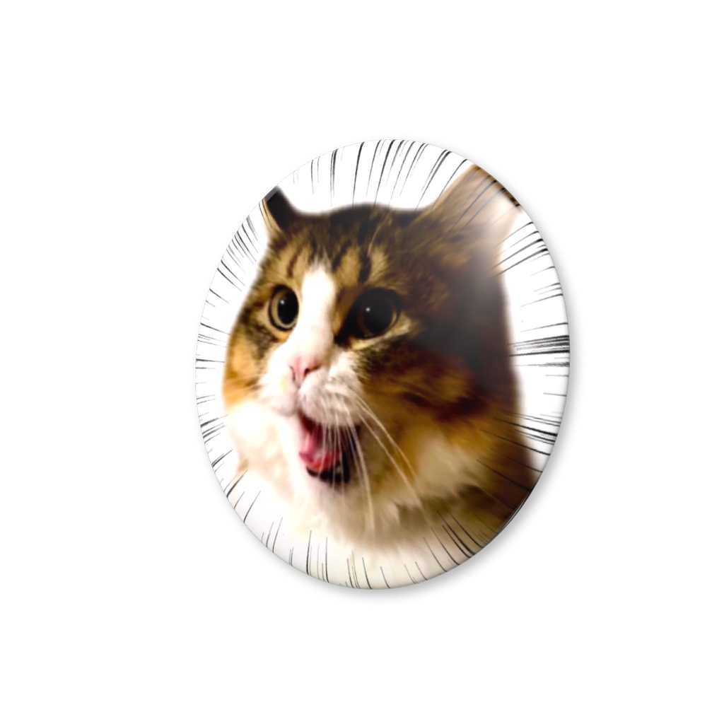 【全力シャウト猫】躍動感すごすぎる!猫の叫び 缶バッジ ムギver.