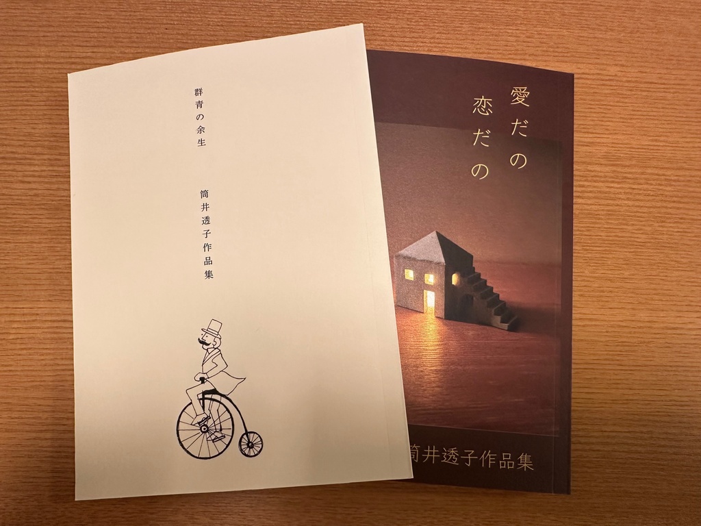筒井透子作品集２冊セット＋豆本のセット