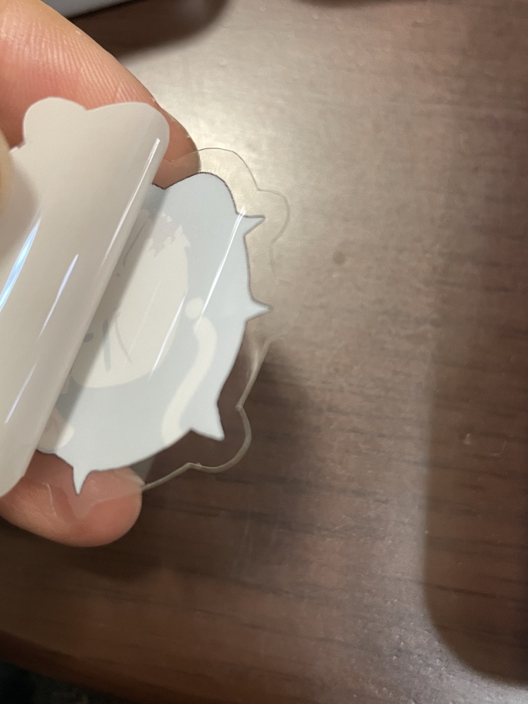 炭善フレークシール【再販】