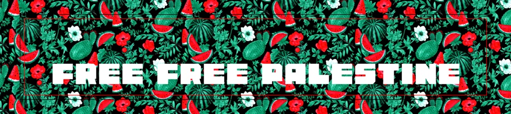 ガザ チャリティーグッズ「カラー・オブ・パレスチナ」