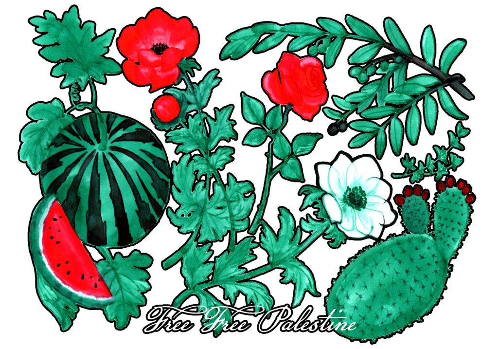 ガザ チャリティーグッズ「カラー・オブ・パレスチナ」