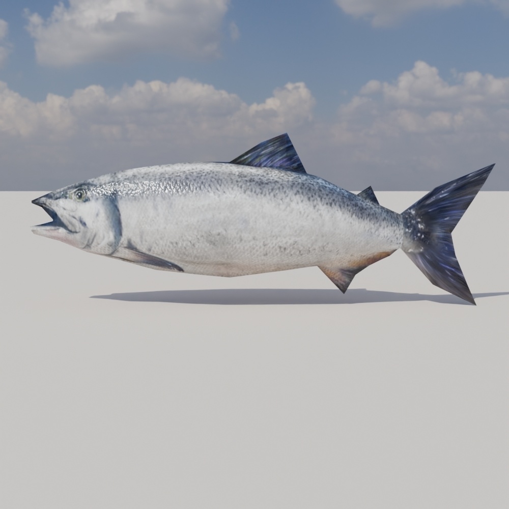 【無料】鮭っぽいの-salmon-3Dモデル