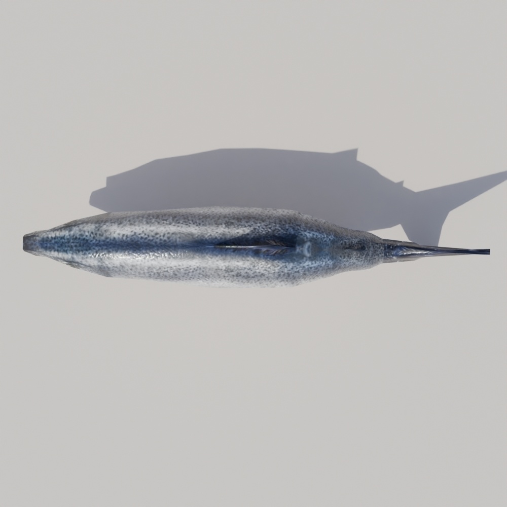 【無料】鮭っぽいの-salmon-3Dモデル