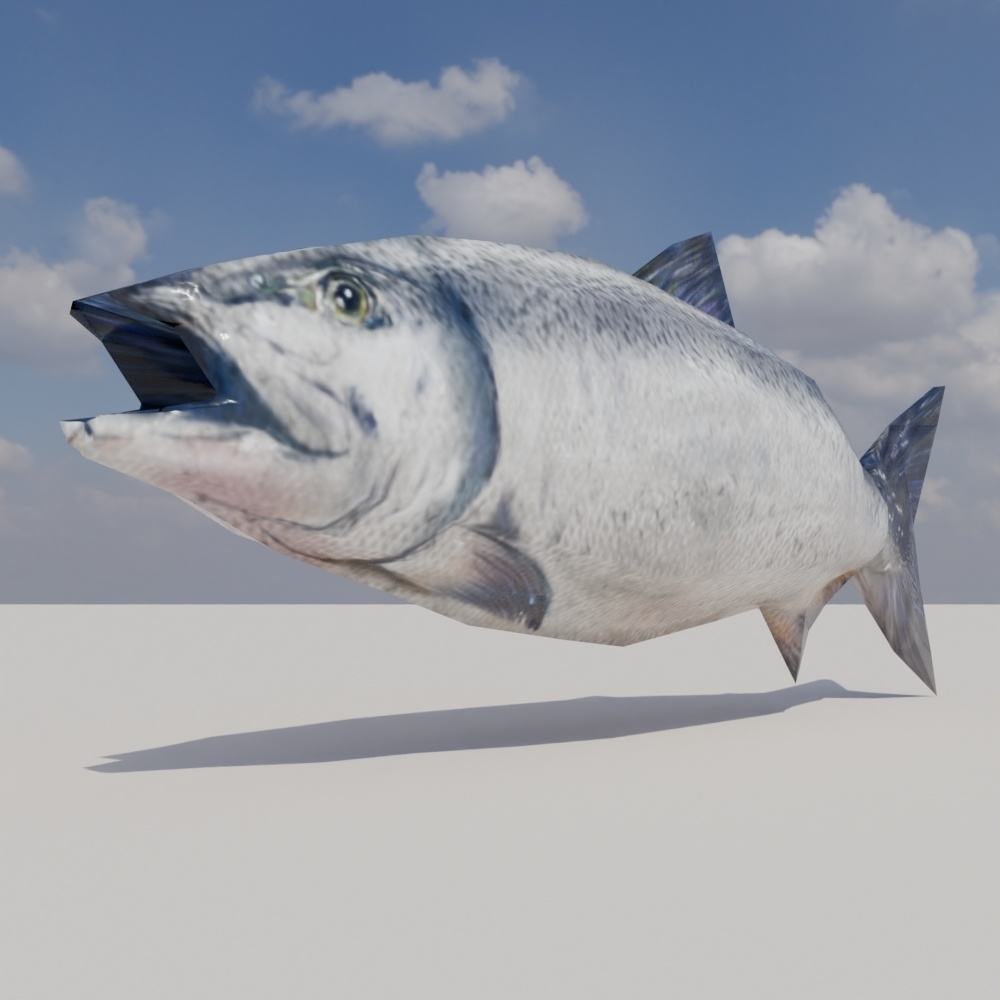 【無料】鮭っぽいの-salmon-3Dモデル