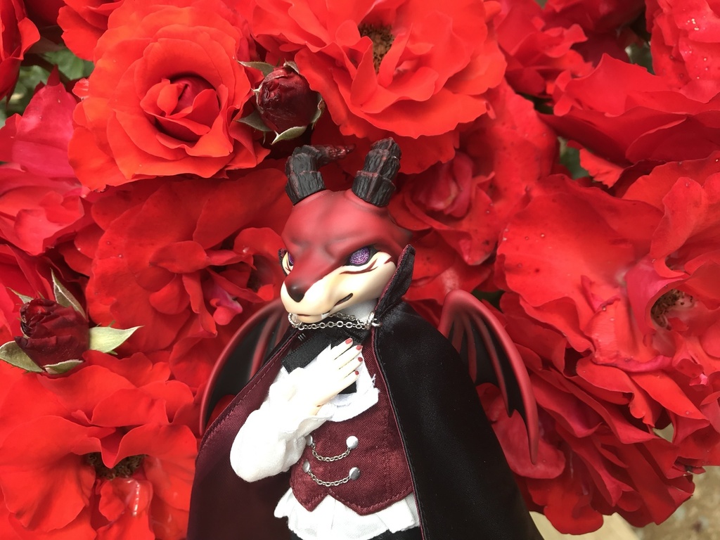 時兎ドールアイ印刷用データ4※詳細必ず確認してください。