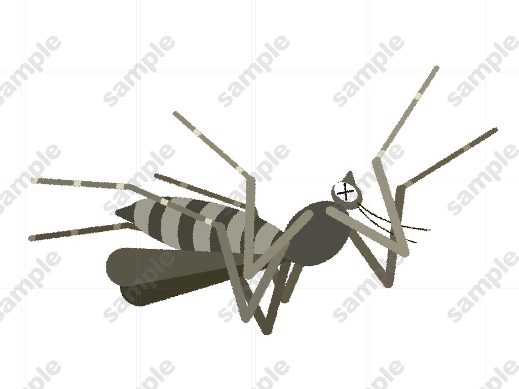 死んだ蚊のイラスト素材